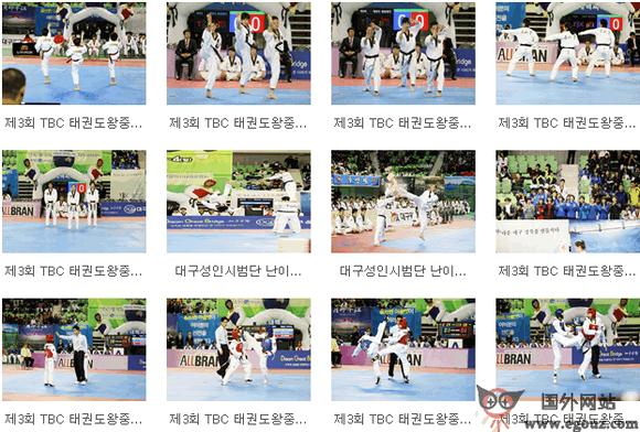 koreataekwondo唐手道协会